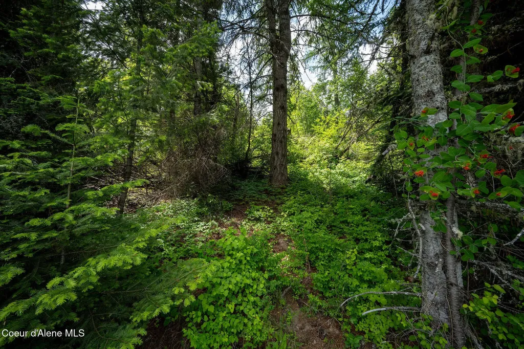 0 Vogel Road Worley ID 83876