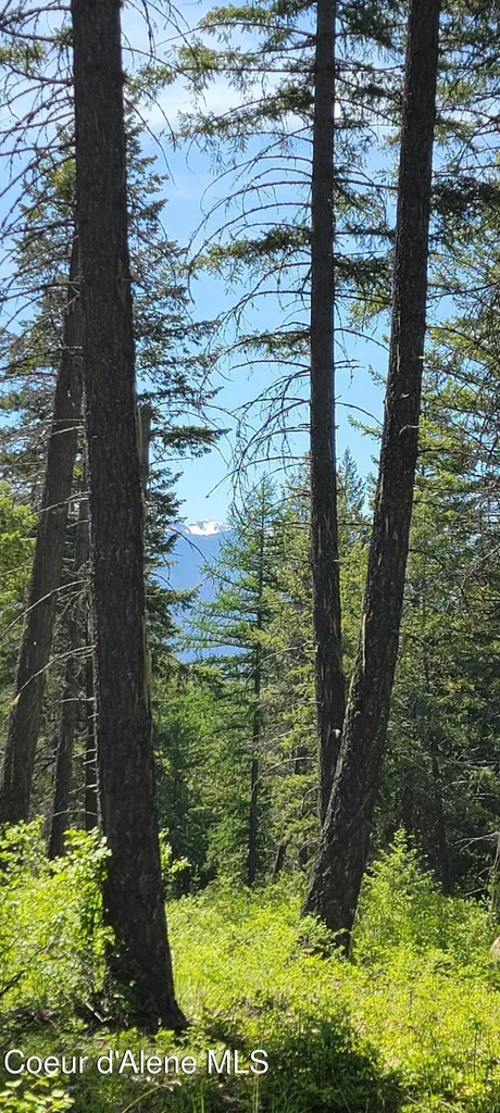 1015 Templeman Lake Road Bonners Ferry ID 83805