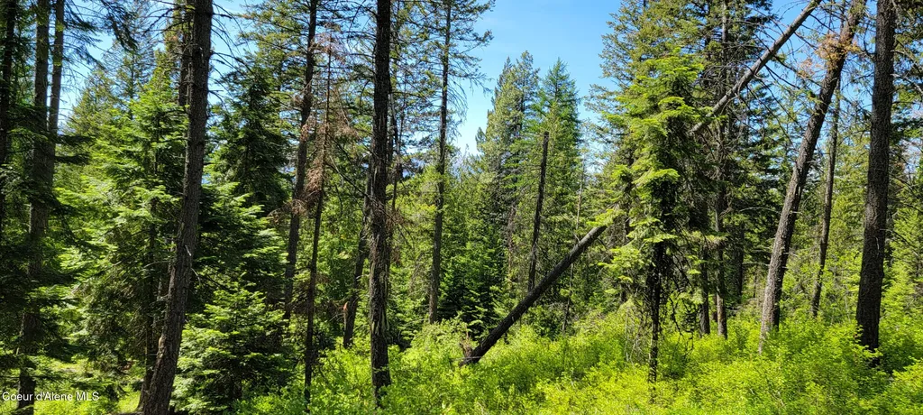 1015 Templeman Lake Road Bonners Ferry ID 83805