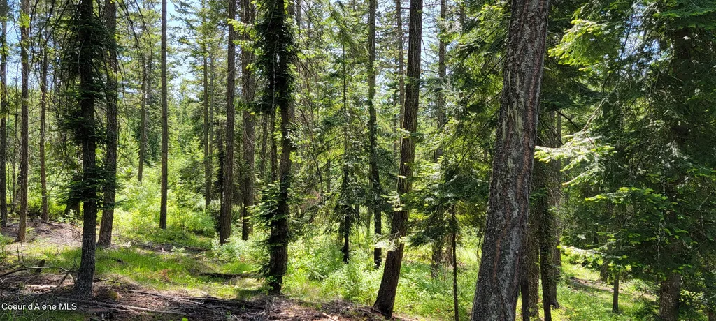 1015 Templeman Lake Road Bonners Ferry ID 83805