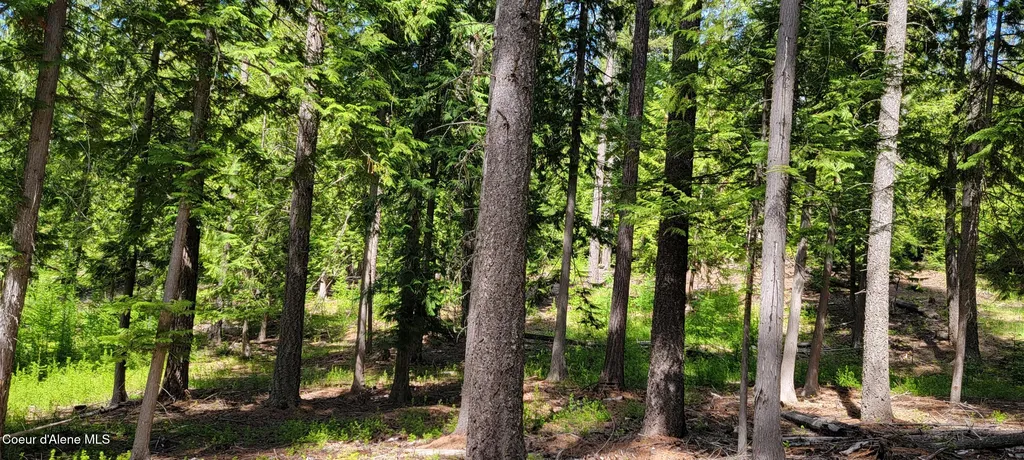 1015 Templeman Lake Road Bonners Ferry ID 83805