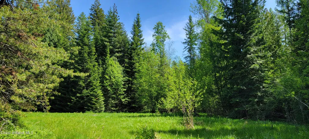 1015 Templeman Lake Road Bonners Ferry ID 83805