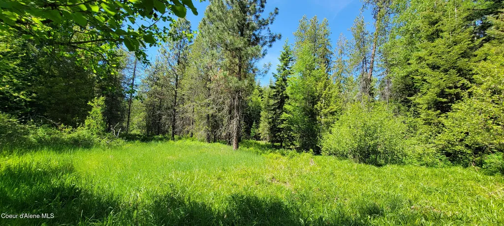 1015 Templeman Lake Road Bonners Ferry ID 83805
