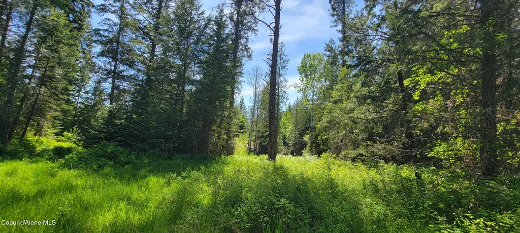 1015 Templeman Lake Road Bonners Ferry ID 83805