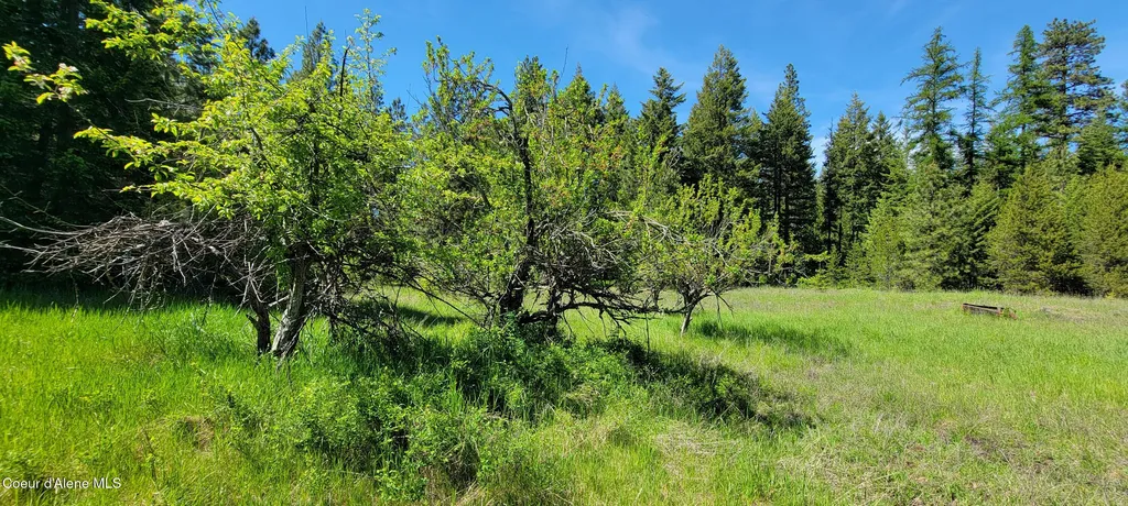 1015 Templeman Lake Road Bonners Ferry ID 83805