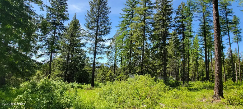1015 Templeman Lake Road Bonners Ferry ID 83805