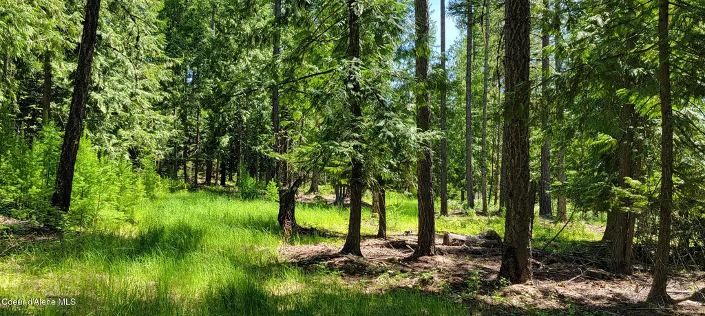1015 Templeman Lake Road Bonners Ferry ID 83805