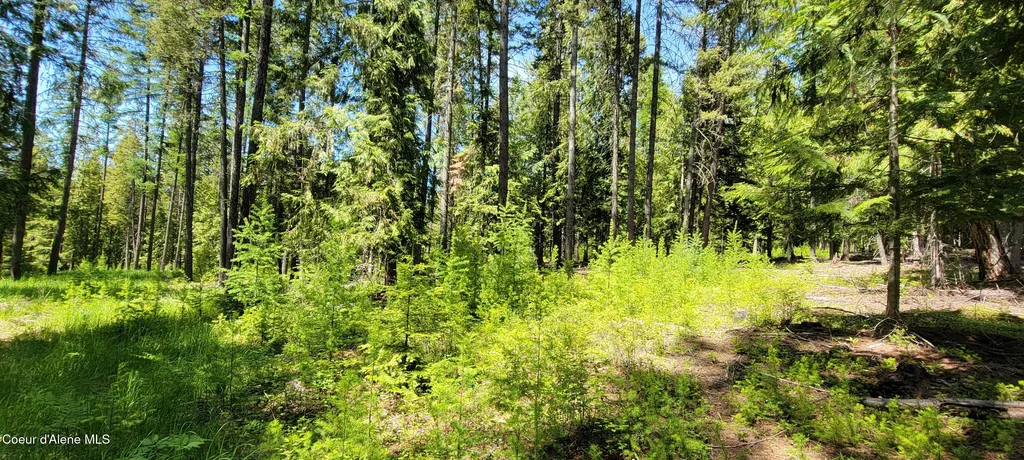 1015 Templeman Lake Road Bonners Ferry ID 83805