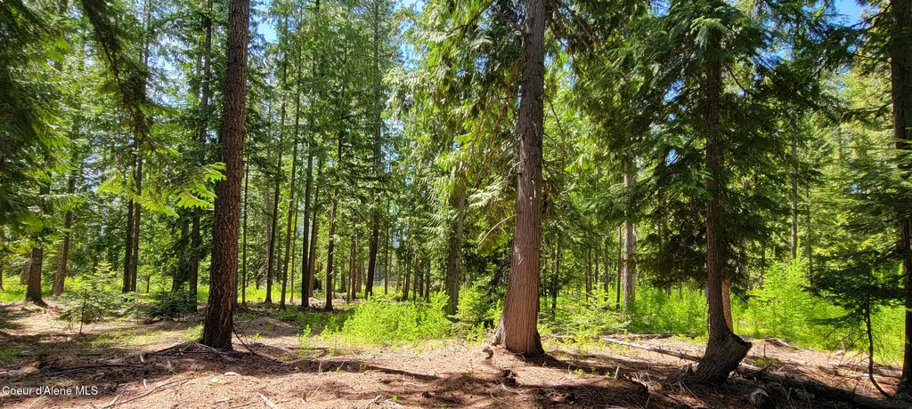 1015 Templeman Lake Road Bonners Ferry ID 83805