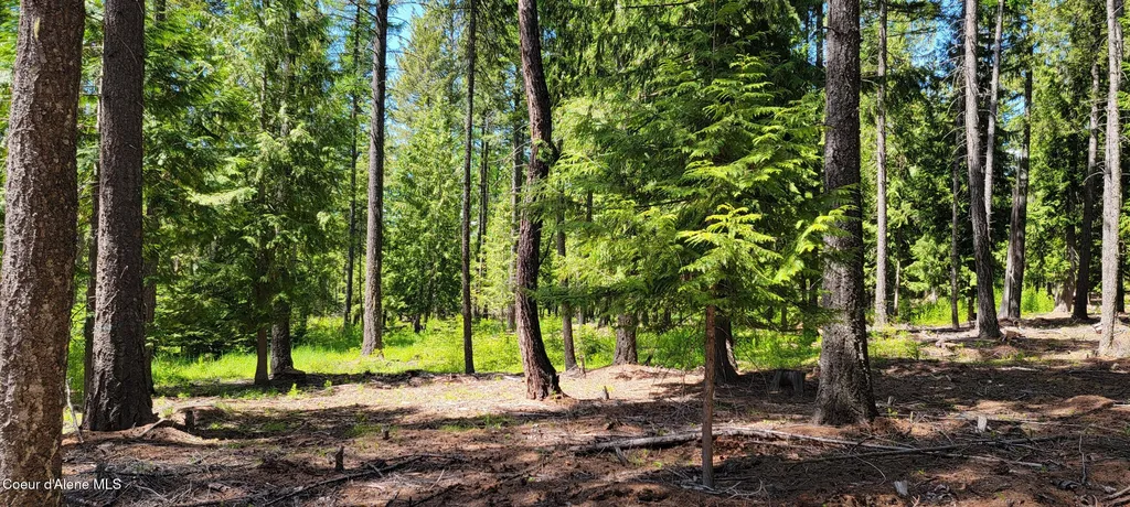 1015 Templeman Lake Road Bonners Ferry ID 83805