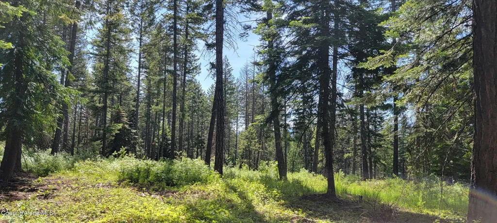 1015 Templeman Lake Road Bonners Ferry ID 83805