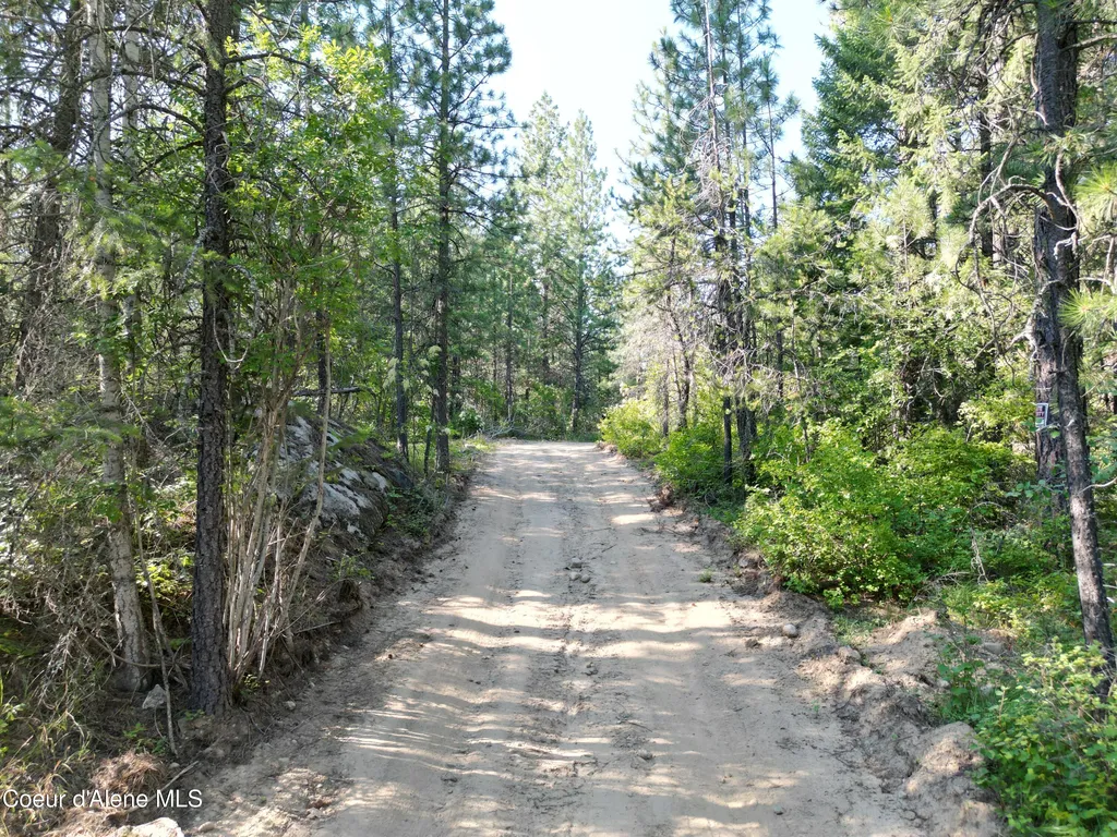 10AC Thistle Creek Lane Sagle ID 83860
