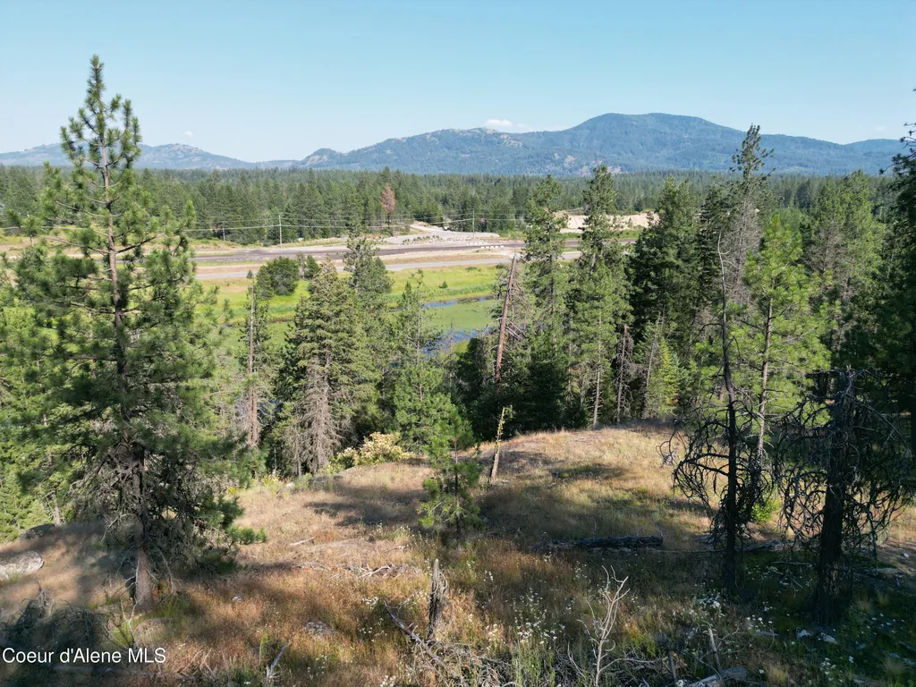 10AC Thistle Creek Lane Sagle ID 83860