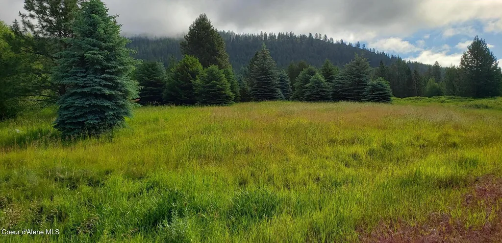 432 Pintail Drive Bonners Ferry ID 83805
