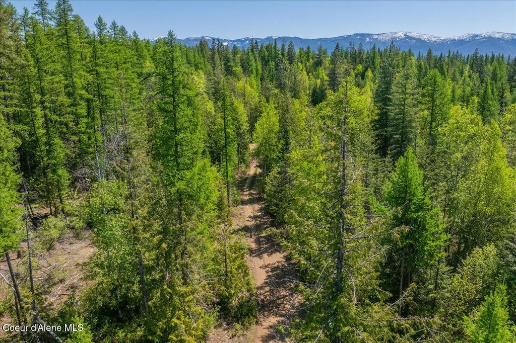 1438 Rolling Thunder Ridge Road Sandpoint ID 83864