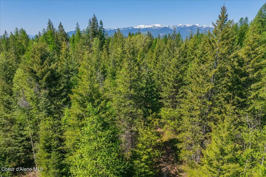 1438 Rolling Thunder Ridge Road Sandpoint ID 83864