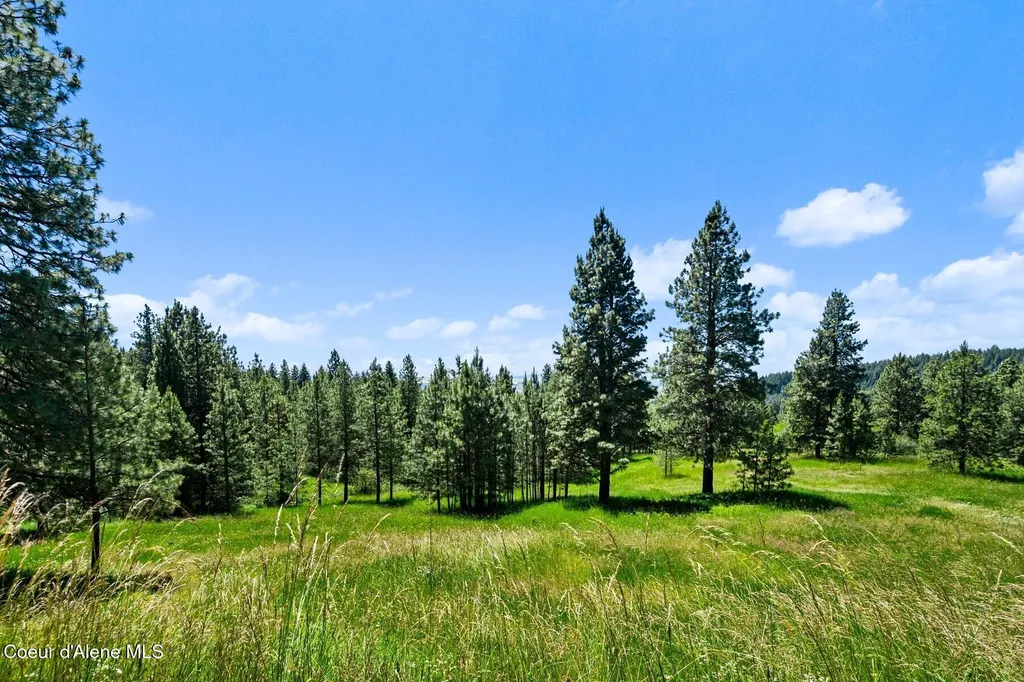 1050 Greenview Lane Moscow ID 83843