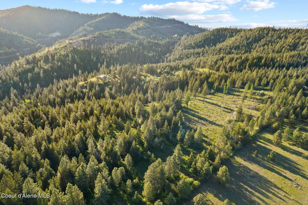 20324 S Asbury Road Harrison ID 83833
