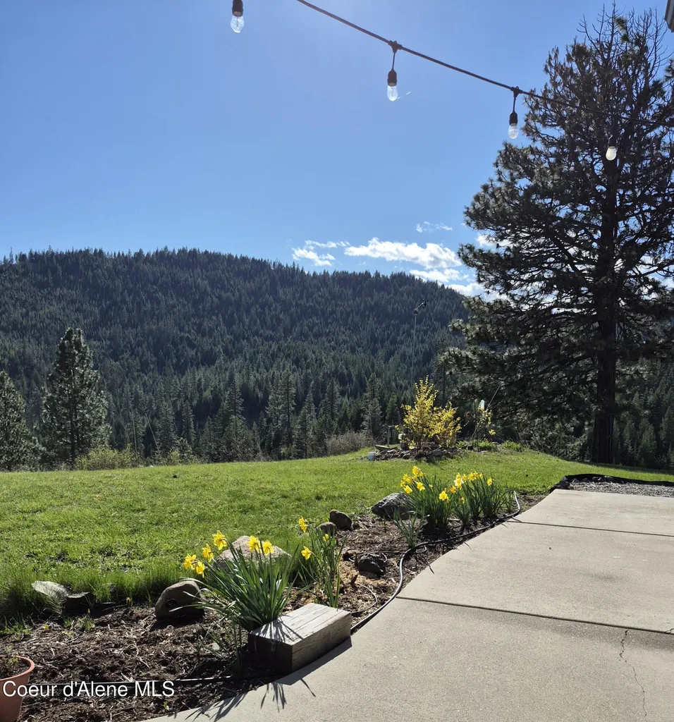 20324 S Asbury Road Harrison ID 83833