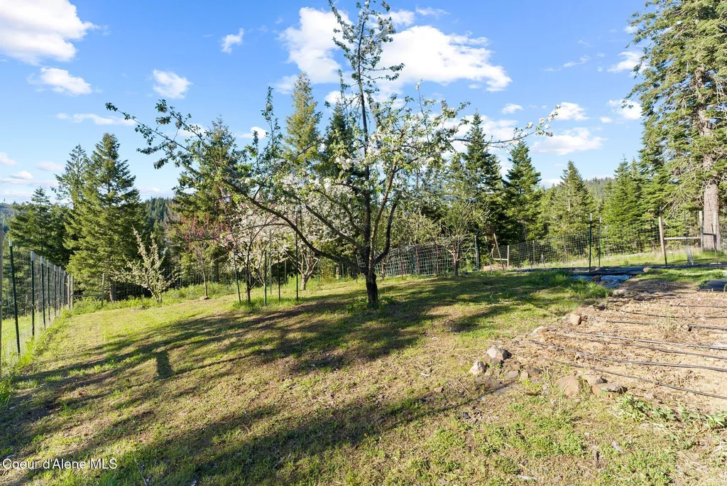 20324 S Asbury Road Harrison ID 83833