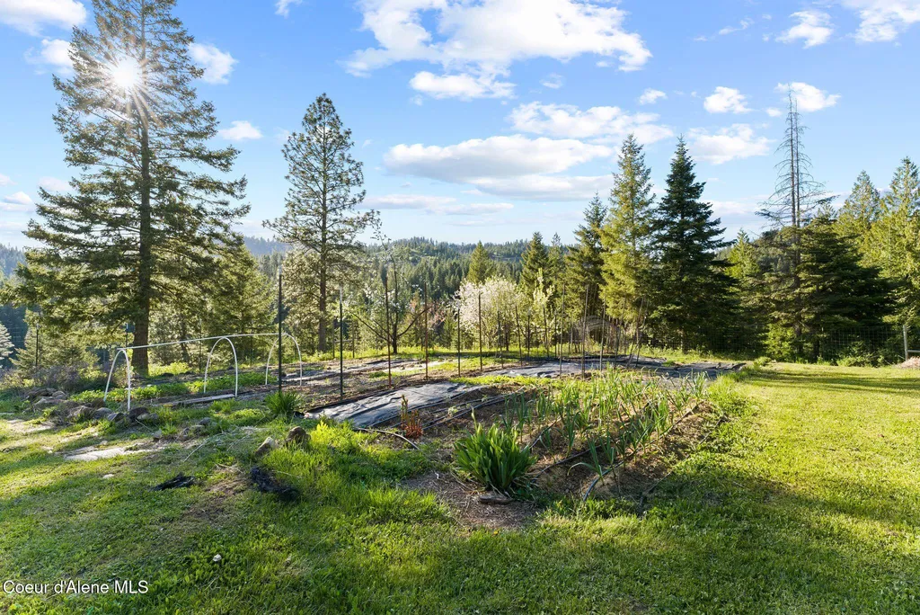 20324 S Asbury Road Harrison ID 83833