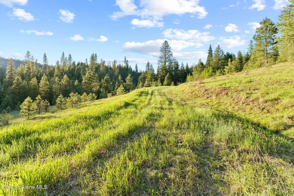 20324 S Asbury Road Harrison ID 83833
