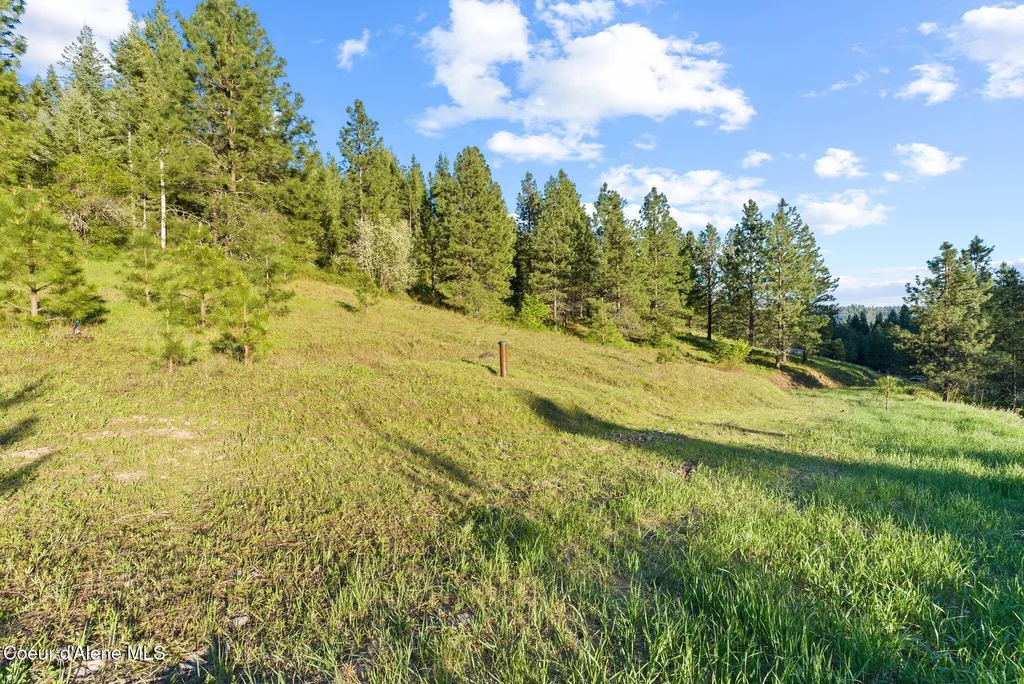 20324 S Asbury Road Harrison ID 83833