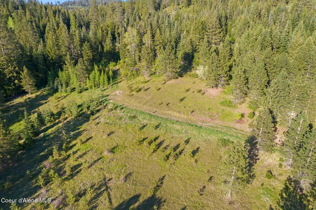 20324 S Asbury Road Harrison ID 83833