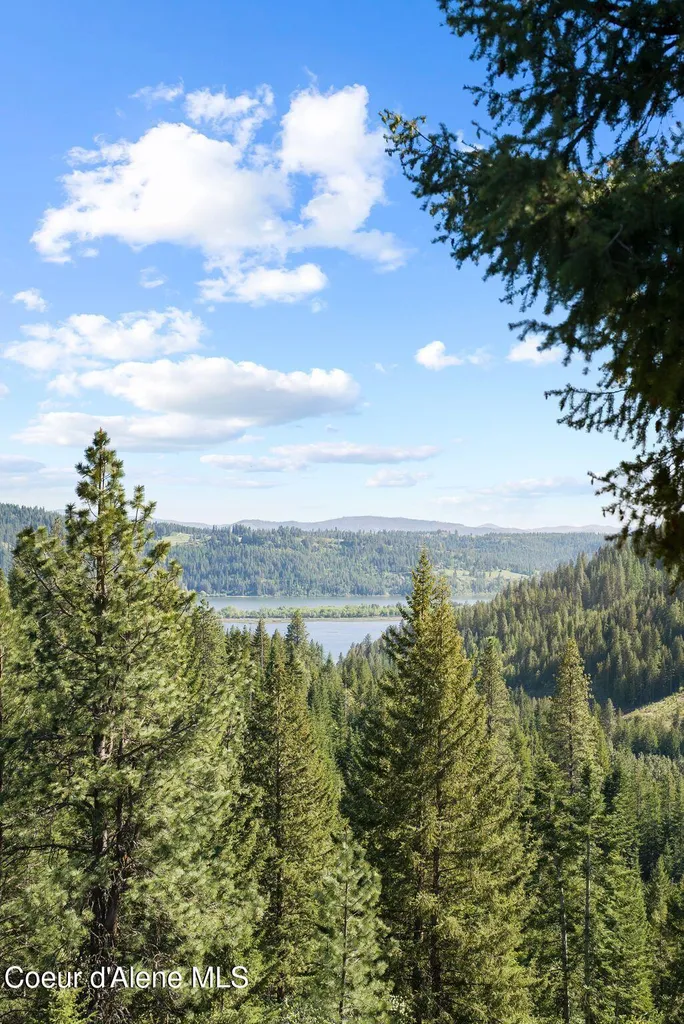 20324 S Asbury Road Harrison ID 83833