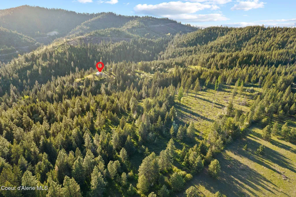 20324 S Asbury Road Harrison ID 83833
