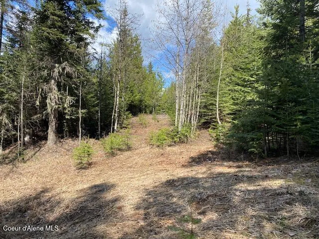 Nna Upper Gold Creek Road Sandpoint ID 83864