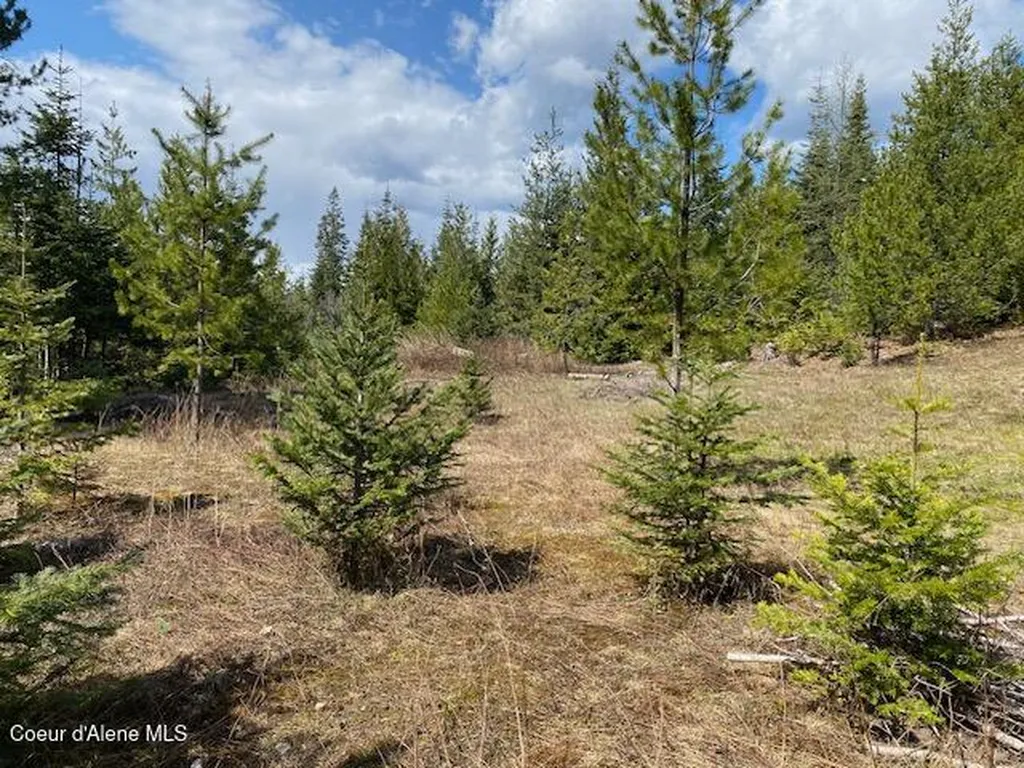 Nna Upper Gold Creek Road Sandpoint ID 83864