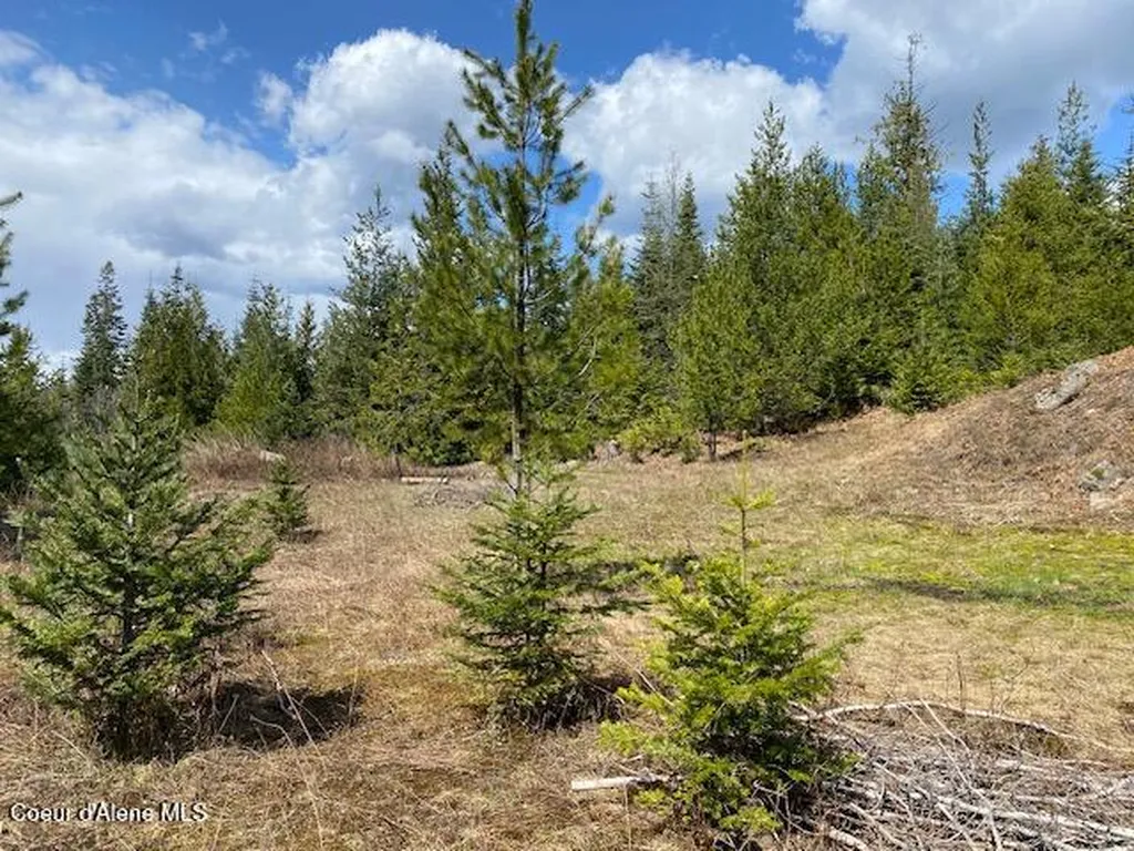 Nna Upper Gold Creek Road Sandpoint ID 83864
