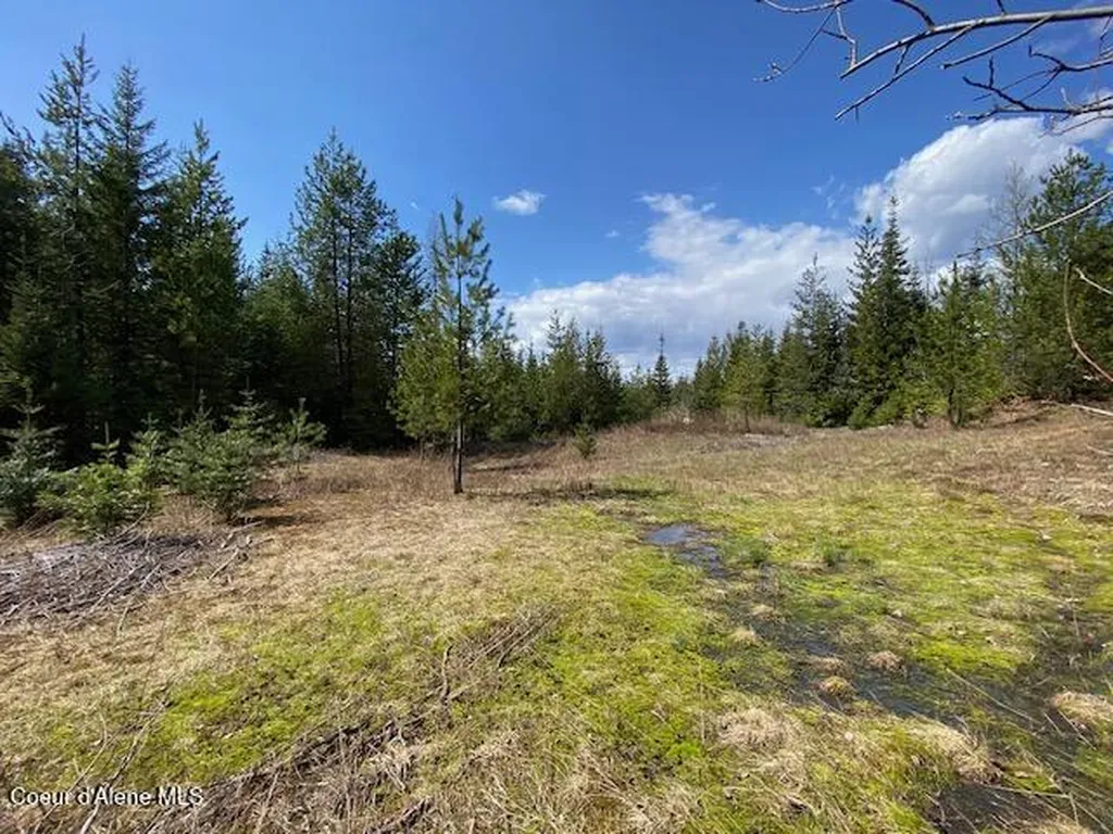 Nna Upper Gold Creek Road Sandpoint ID 83864