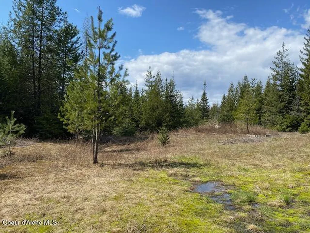 Nna Upper Gold Creek Road Sandpoint ID 83864