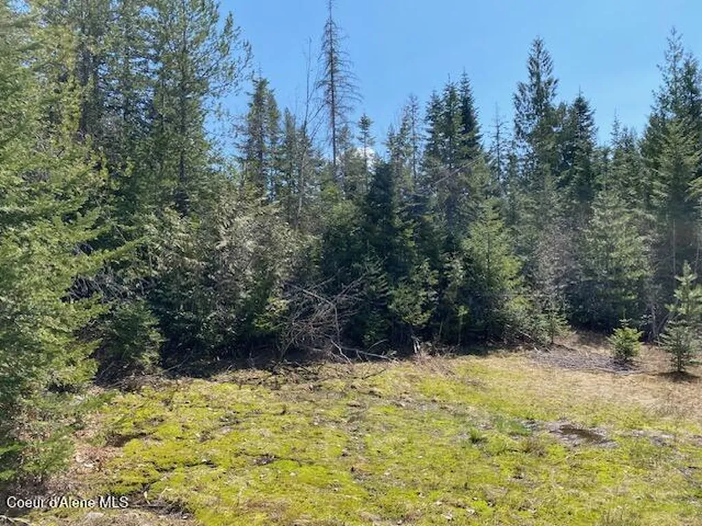 Nna Upper Gold Creek Road Sandpoint ID 83864