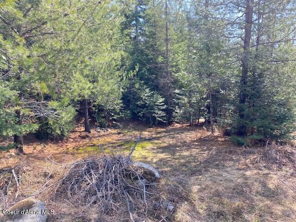Nna Upper Gold Creek Road Sandpoint ID 83864
