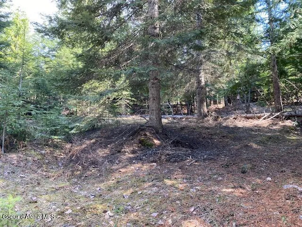 Nna Upper Gold Creek Road Sandpoint ID 83864