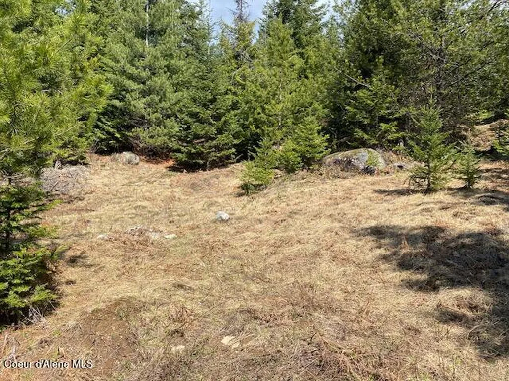 Nna Upper Gold Creek Road Sandpoint ID 83864