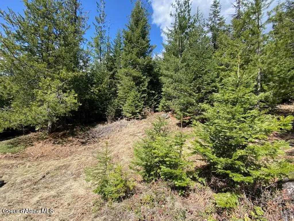 Nna Upper Gold Creek Road Sandpoint ID 83864