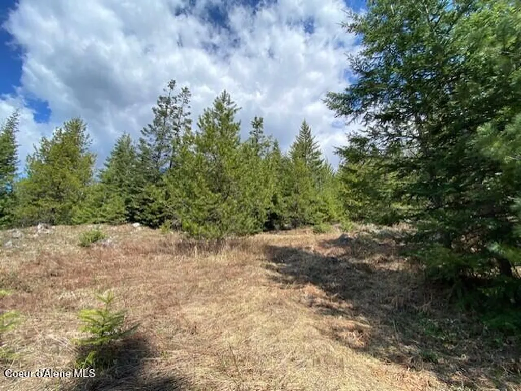 Nna Upper Gold Creek Road Sandpoint ID 83864