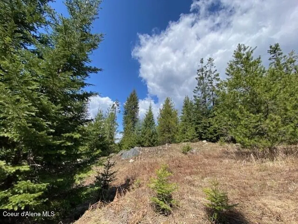 Nna Upper Gold Creek Road Sandpoint ID 83864