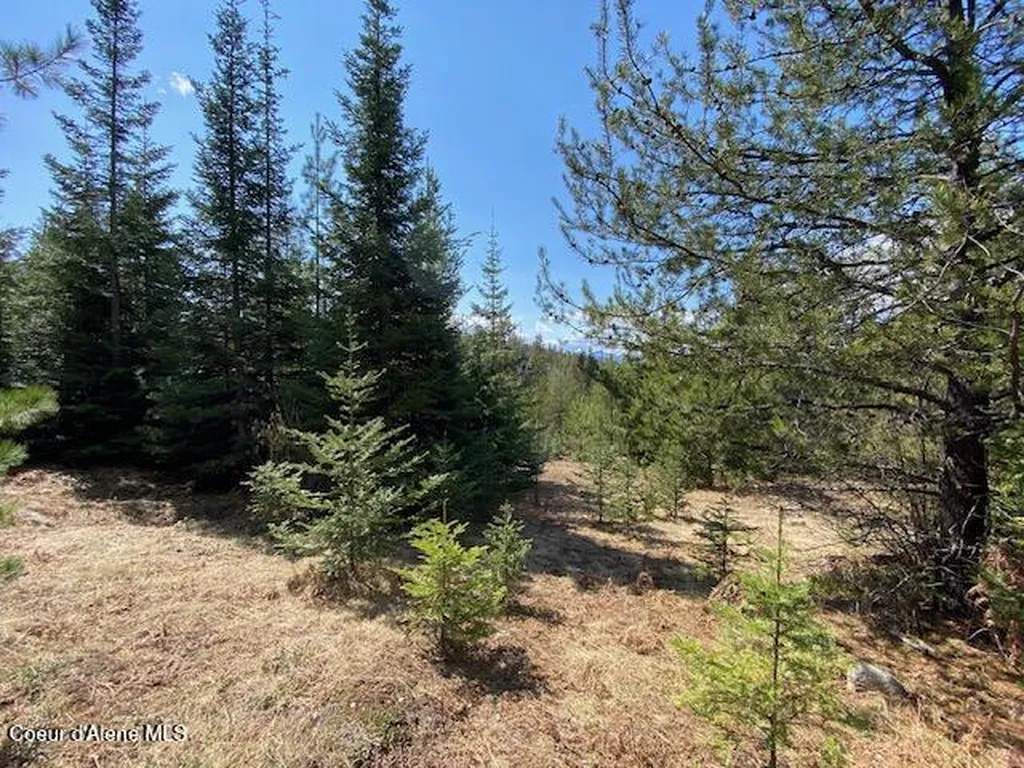 Nna Upper Gold Creek Road Sandpoint ID 83864