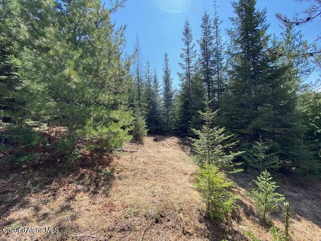 Nna Upper Gold Creek Road Sandpoint ID 83864