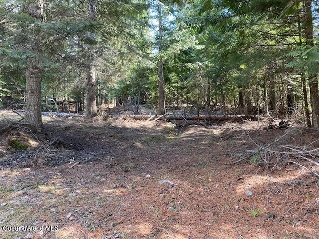 Nna Upper Gold Creek Road Sandpoint ID 83864