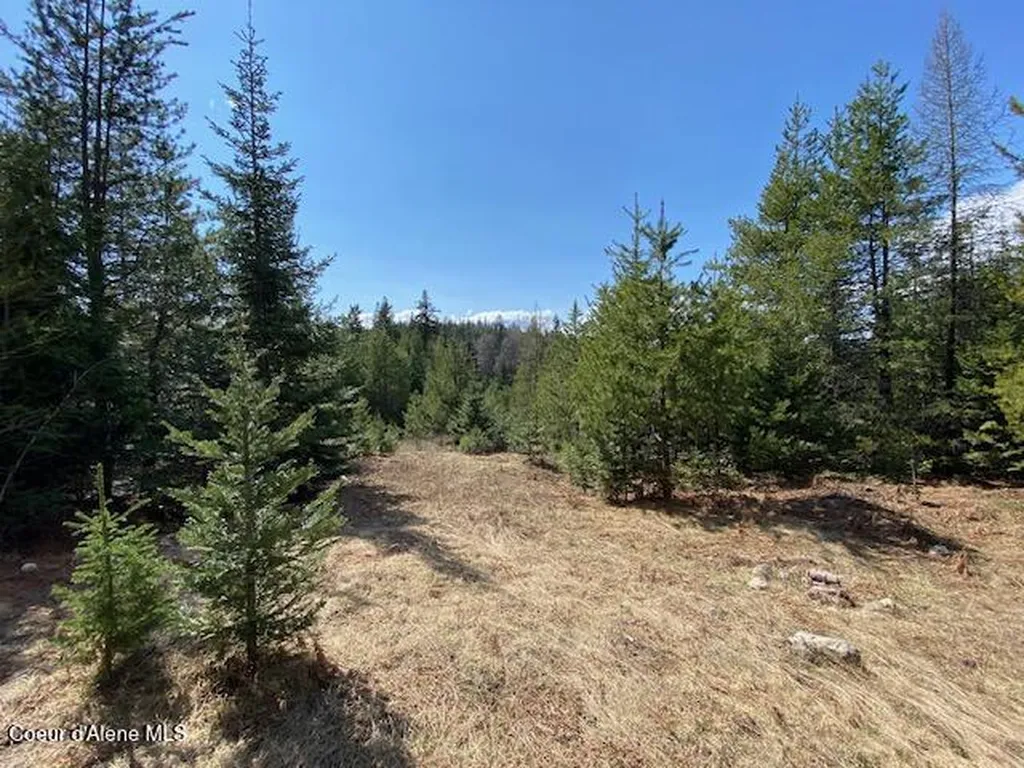 Nna Upper Gold Creek Road Sandpoint ID 83864