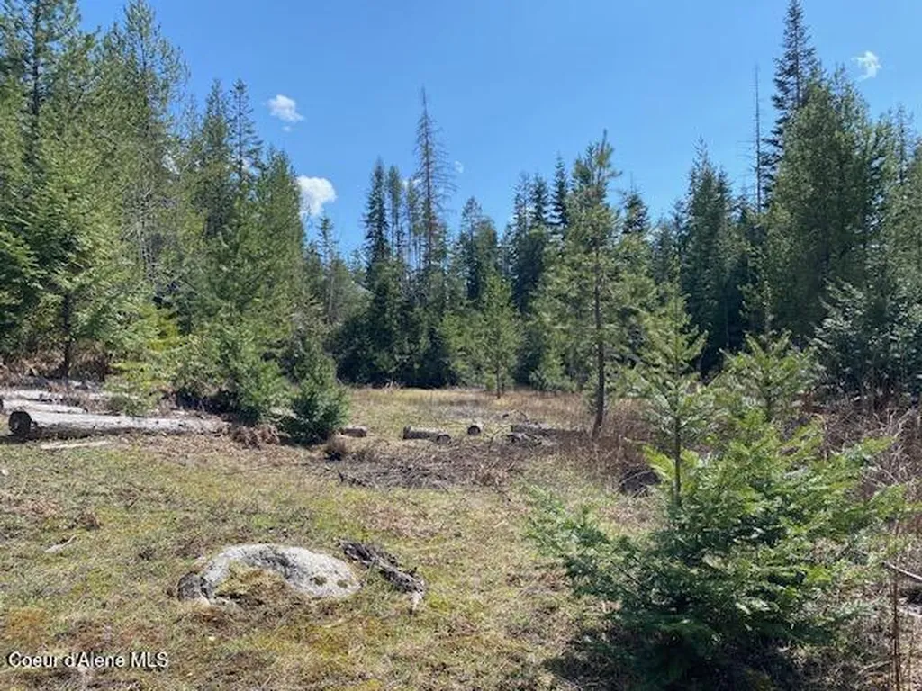 Nna Upper Gold Creek Road Sandpoint ID 83864