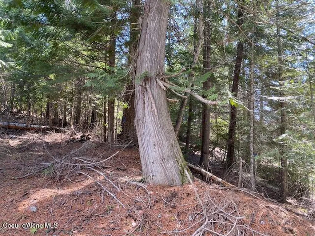 Nna Upper Gold Creek Road Sandpoint ID 83864