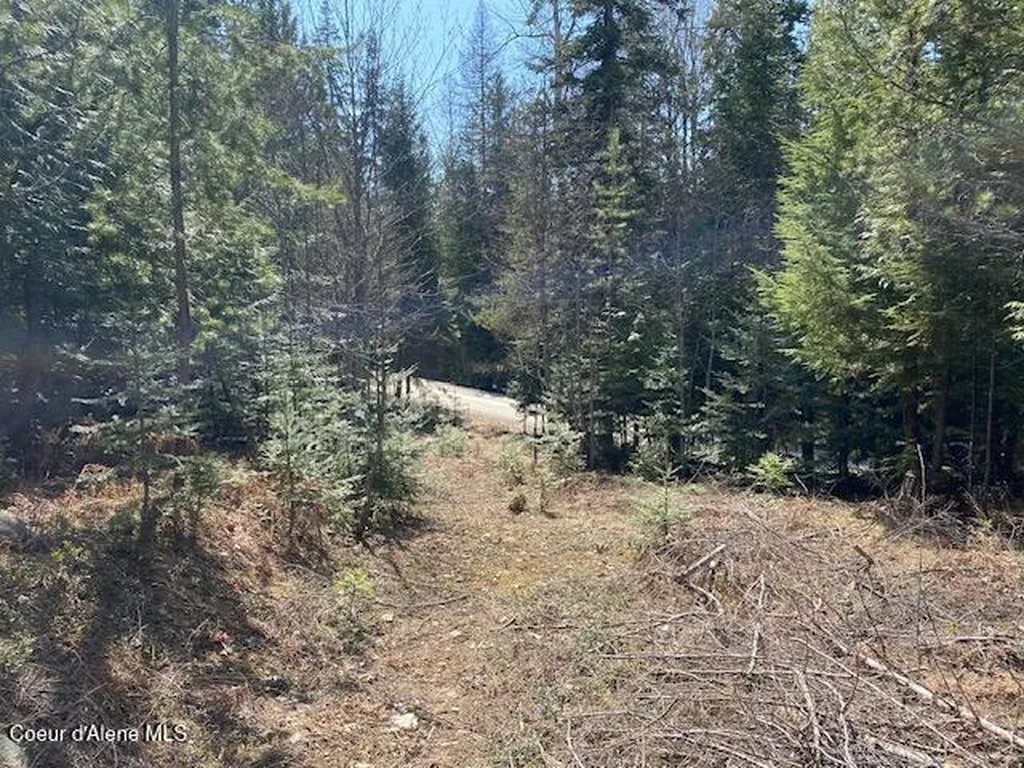 Nna Upper Gold Creek Road Sandpoint ID 83864