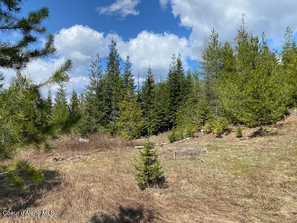 Nna Upper Gold Creek Road Sandpoint ID 83864